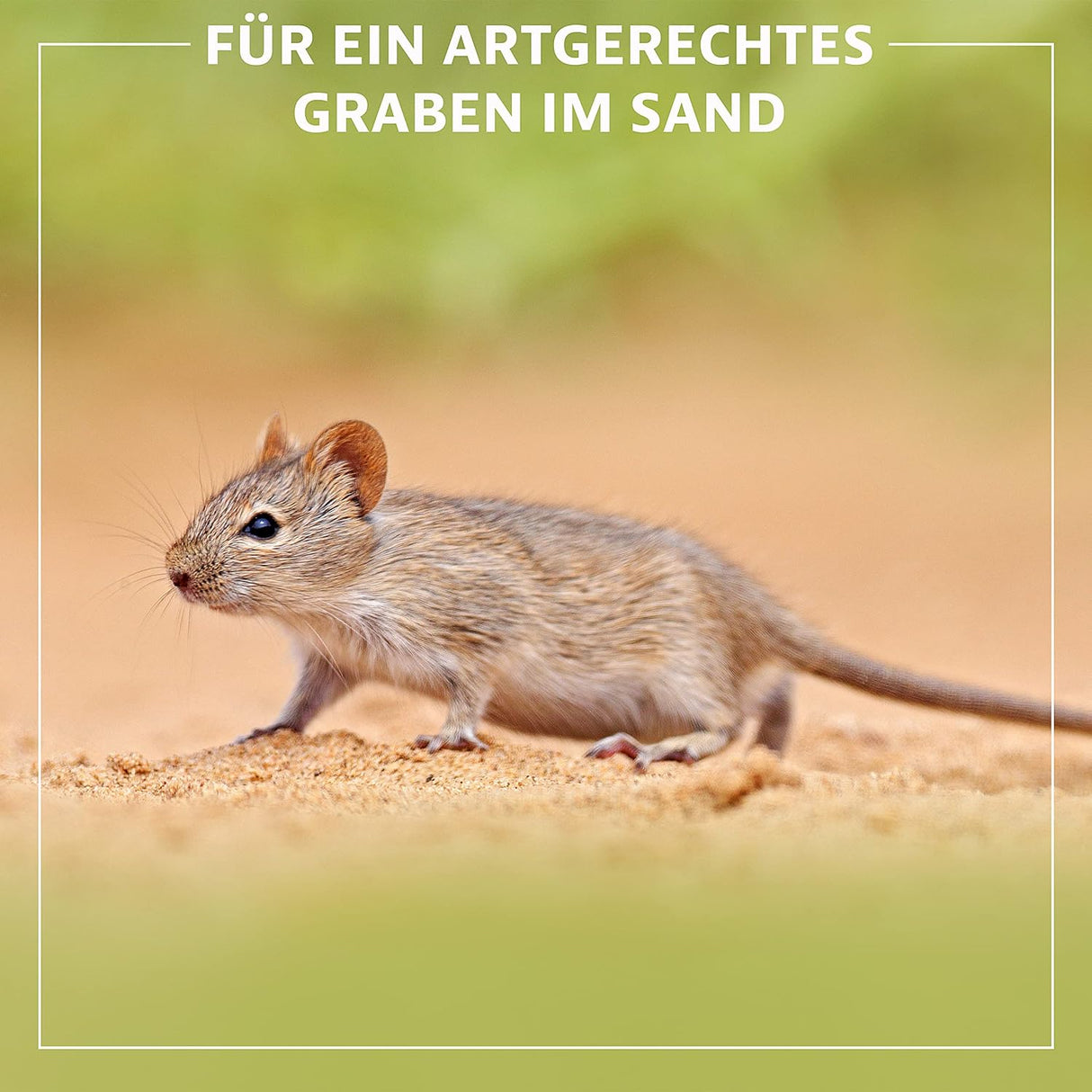 12080 Spezial Buddelsand Für Kaninchen Hasen Nager 5 Kg