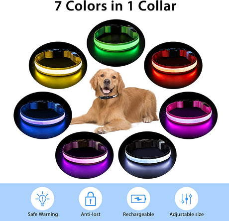 Pceotllar Leuchthalsband Hund USB Aufladbar, Hundehalsband Leuchtend Wasserdichtes 7 Farbwechsel Einstellbare Kleine Mittlere Große Hunde Leuchtende Halsband Hund LED Für Nacht, Schwarz - M