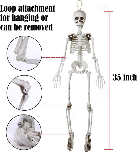 35" Posable Halloween Skeleton, Full Body Joints Plastic Skeleton with Movable/Posable Joints,Perfect for Halloween Haunted House Props Decorations Outdoor