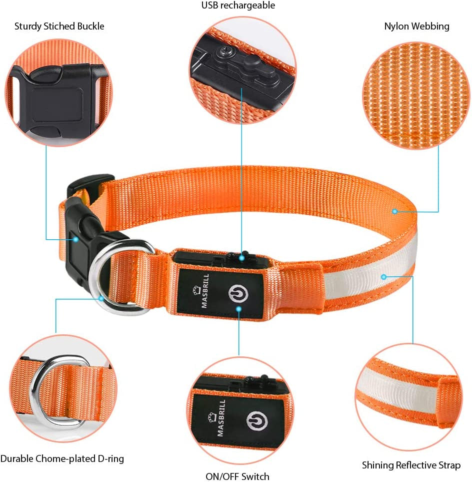 MASBRILL Hundehalsband Leuchtend USB Aufladbar Wasserdichtes LED Leuchthalsband Für Kleine Mittlere Große Hunde Einstellbar Sicherheit Hundehalsband Mit 3 Beleuchtungsmodi - Orange - M